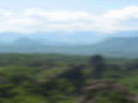 Dynamic Size preview