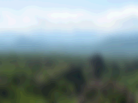 Dynamic Size and Angle preview