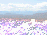 Dark Area Flash preview